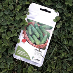 Cемена огурца Уран F1, Sakata, 7 шт.