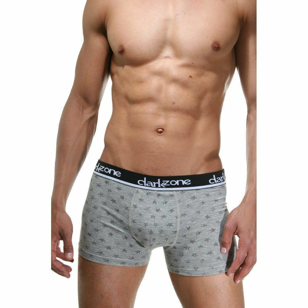 Трусы мужские боксеры серые DARKZONE DZN2309