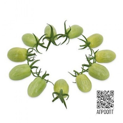 Гурами F1 семена томата (Rijk Zwaan / Райк Цваан)