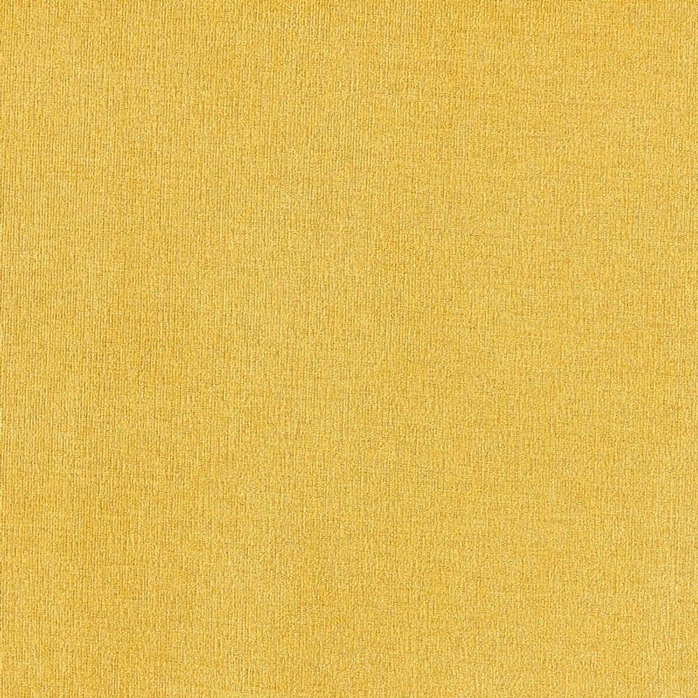 Велюр Daily / Дэйли