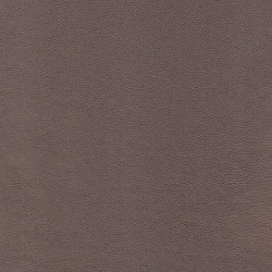 Искусственная кожа Polo perlamutr koriza (Поло перламутр корица)