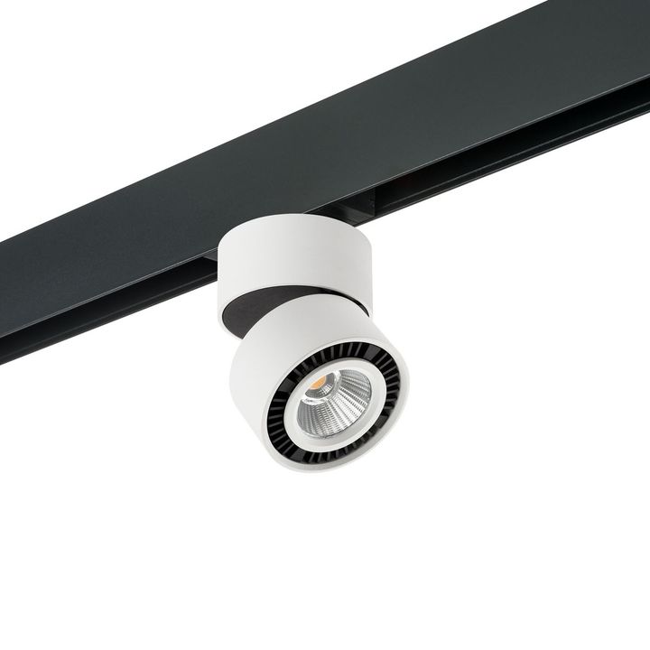 Комплект с трековым светильником Lightstar Forte Muro (595061+213816) PRO213816