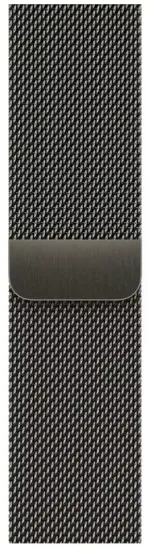 Умные часы Apple Watch Series 9 41 мм Steel Case GPS + Cellular, Graphite Milanese Loop