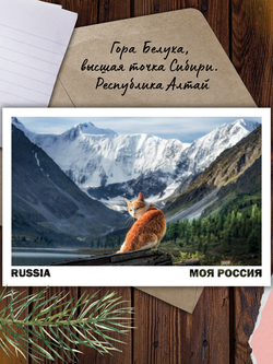Моя Россия. Коты