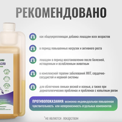 Льняное масло ExterPro для лошадей Horse-Bio, 1000 мл