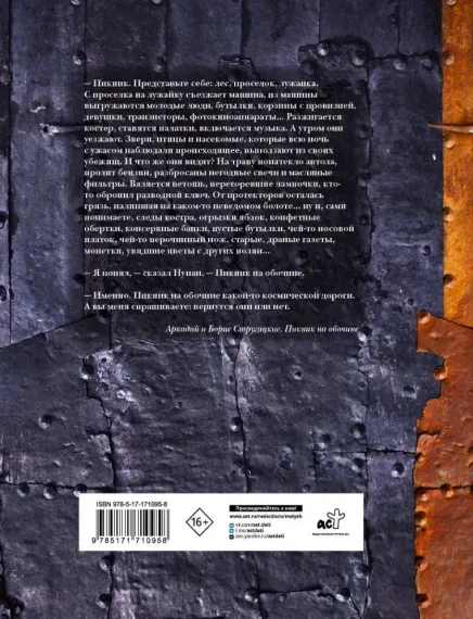 Пикник на обочине