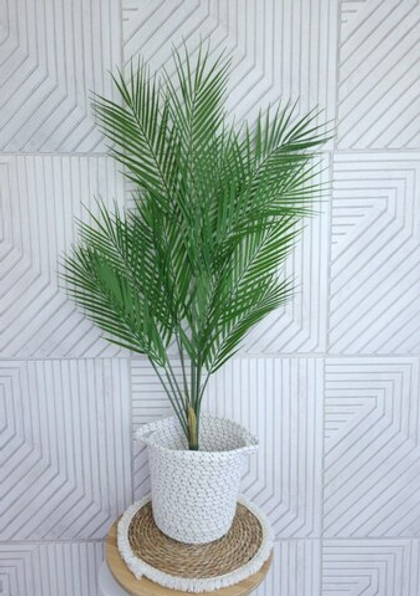 Пальма Арека 100 см