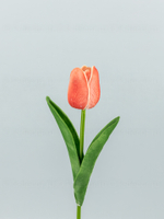 Тюльпан латекс Микс (набор из 14 штук)