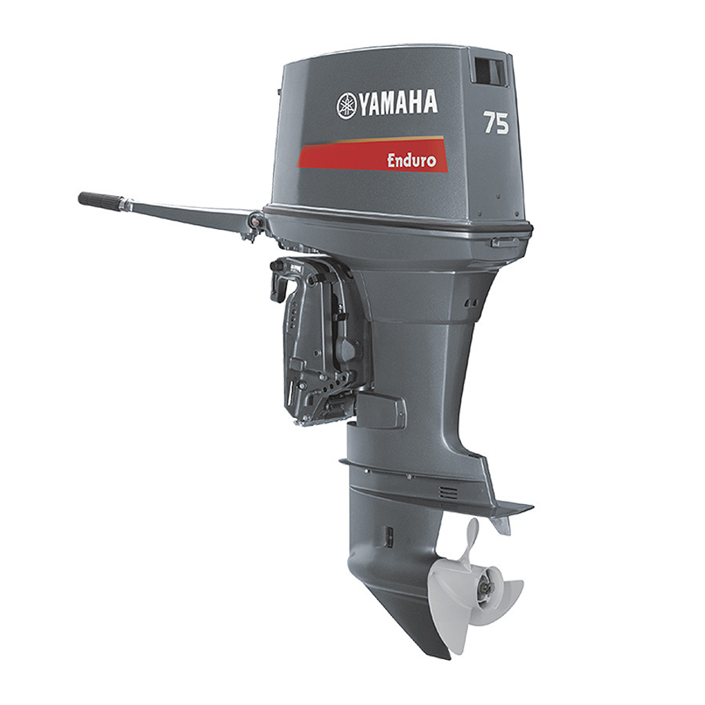 Лодочный мотор Yamaha E75BMHDL