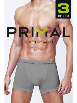 Мужские трусы B1200 (3 шт.) Primal
