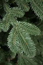 Ель искусственная «Карельская» (Литая хвоя) 210 см / 2,1 м