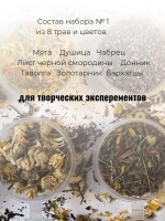Набор сушеные травы и сухоцветы для творчества №1