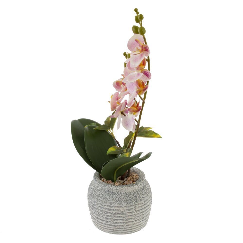 GAEM Цветочная композиция, L15 W13,5 H39 см