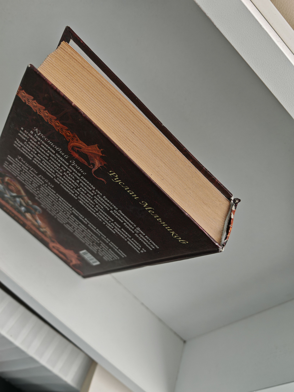 Крестовый дранг. Рыцари рейха