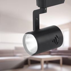 Трековый светильник однофазный ЭРА TR1-1040 BK светодиодный 10Вт 4000К черный