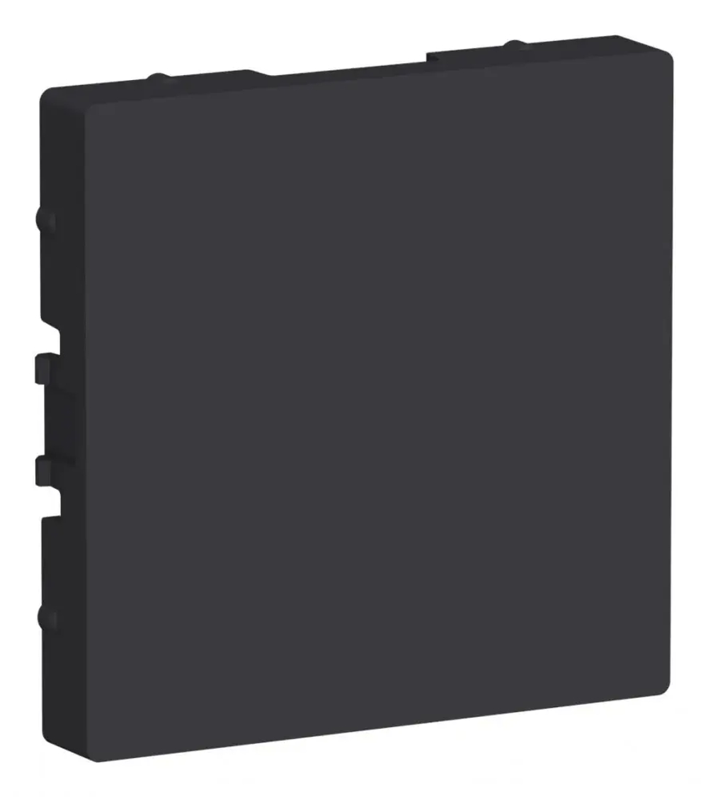 ATLASDESIGN ЗАГЛУШКА без суппорта для многопостовых рамок, КАРБОН