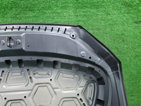 Капот Geely Monjaro (2021-н.в.)