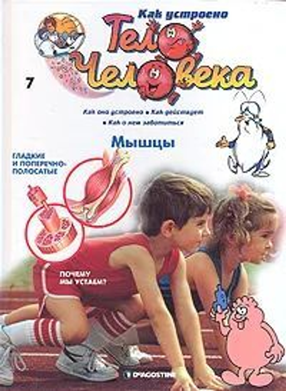 Как устроено тело человека (31 номер журналов)