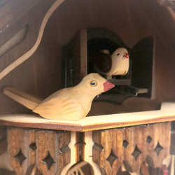 Настенные часы с кукушкой Sars 0416-8M