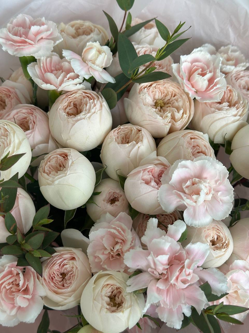 собран сегодня #26