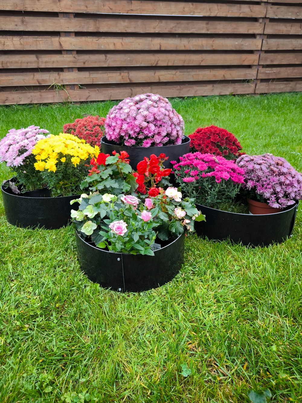 Клумба цветок трансформер высота 10см + 20см, ф135см