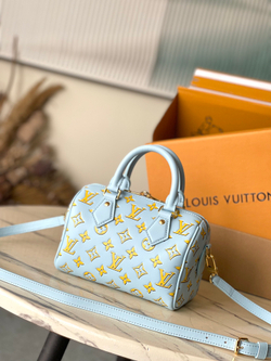 Louis Vuitton Speedy 20