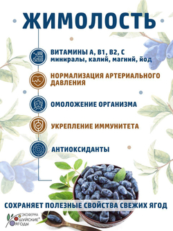 Набор 2 шт мармелад из жимолости на агаре Шуйские ягоды, 250г