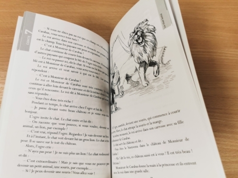 Lire en Francais Facile A2 Les Contes + CD audio MP3, A2