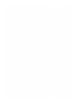 Материалы для истории российской духовной миссии в Пекине. Выпуск 1 | Н. И. Веселовский