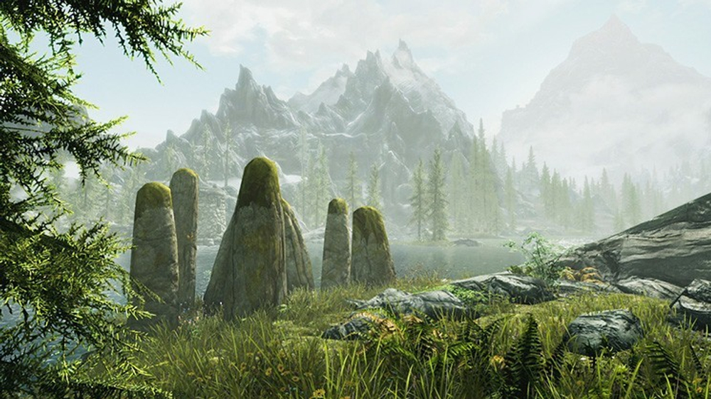 The Elder Scrolls V: Skyrim (картридж для Nintendo Switch, полностью на русском языке)