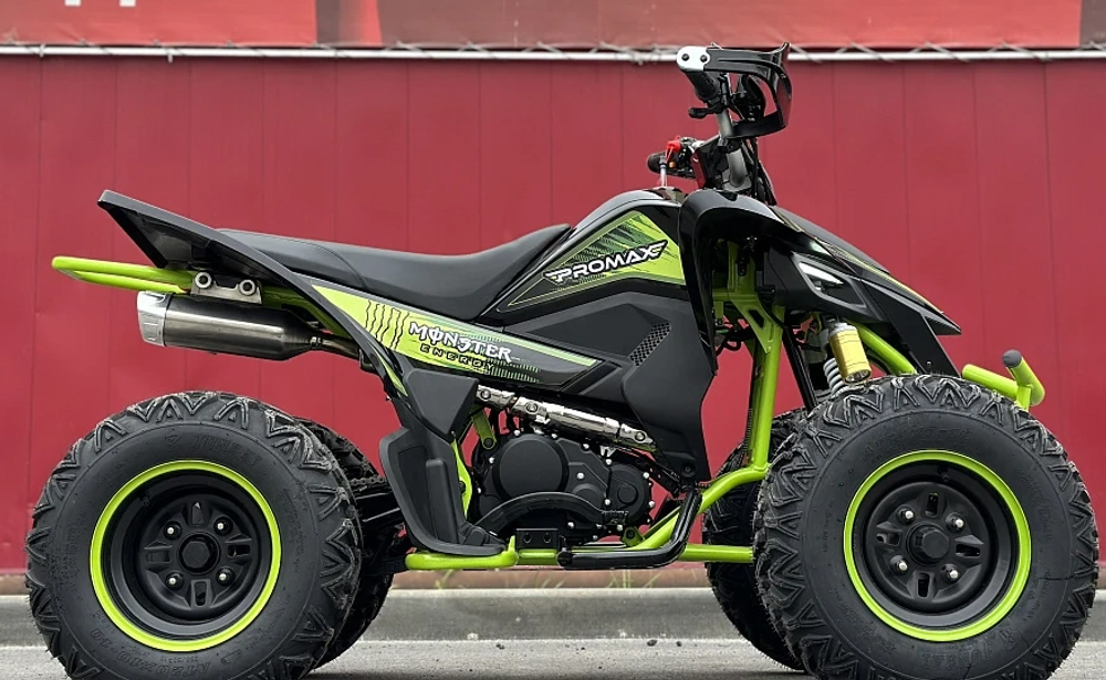Квадроцикл PROMAX RAPTOR 300 AIR Monster