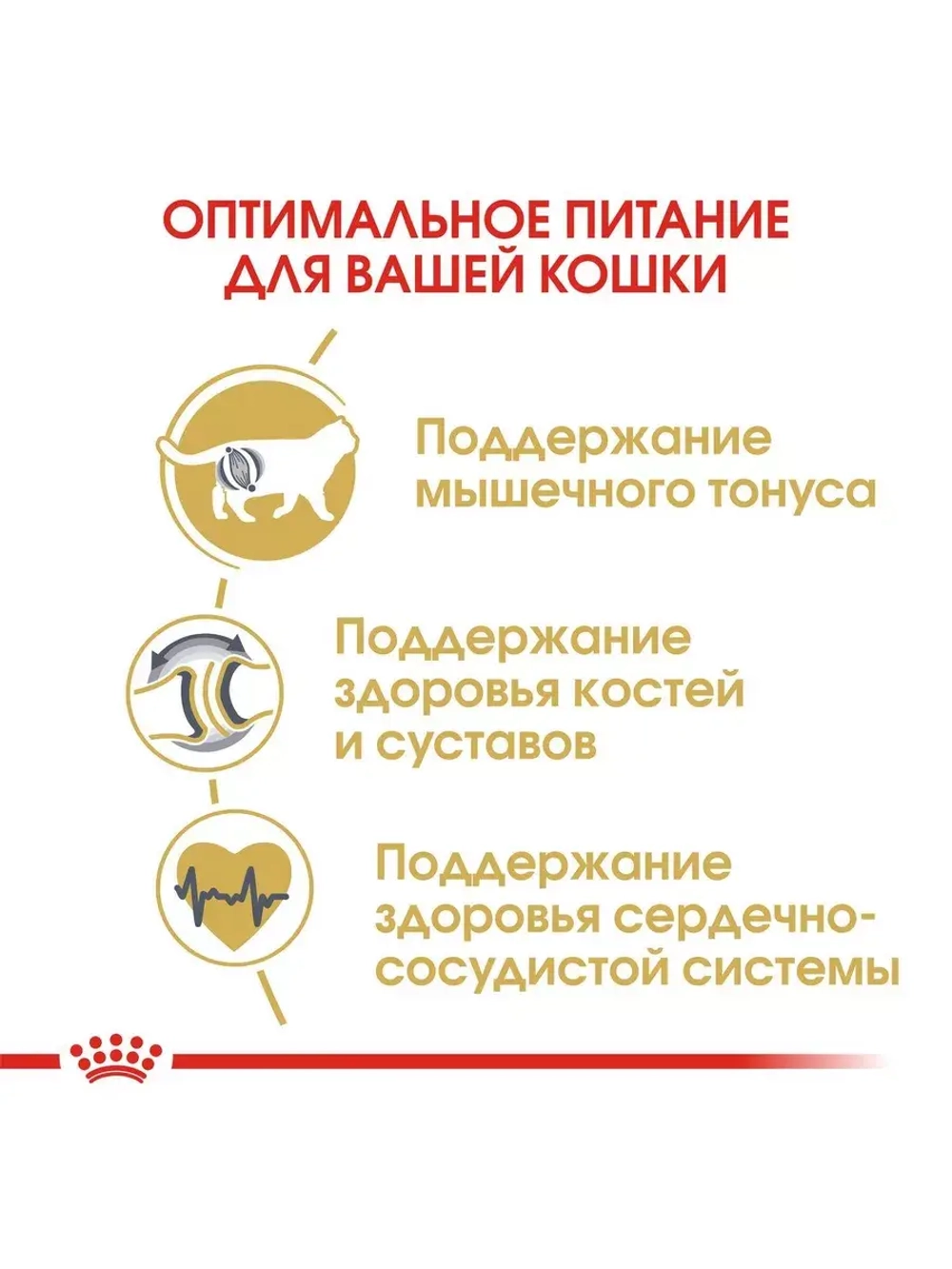 ROYAL CANIN British Shorthair Adult (Роял Канин Бритиш Шорт Эдалт) корм сухой для кошек 13 кг.