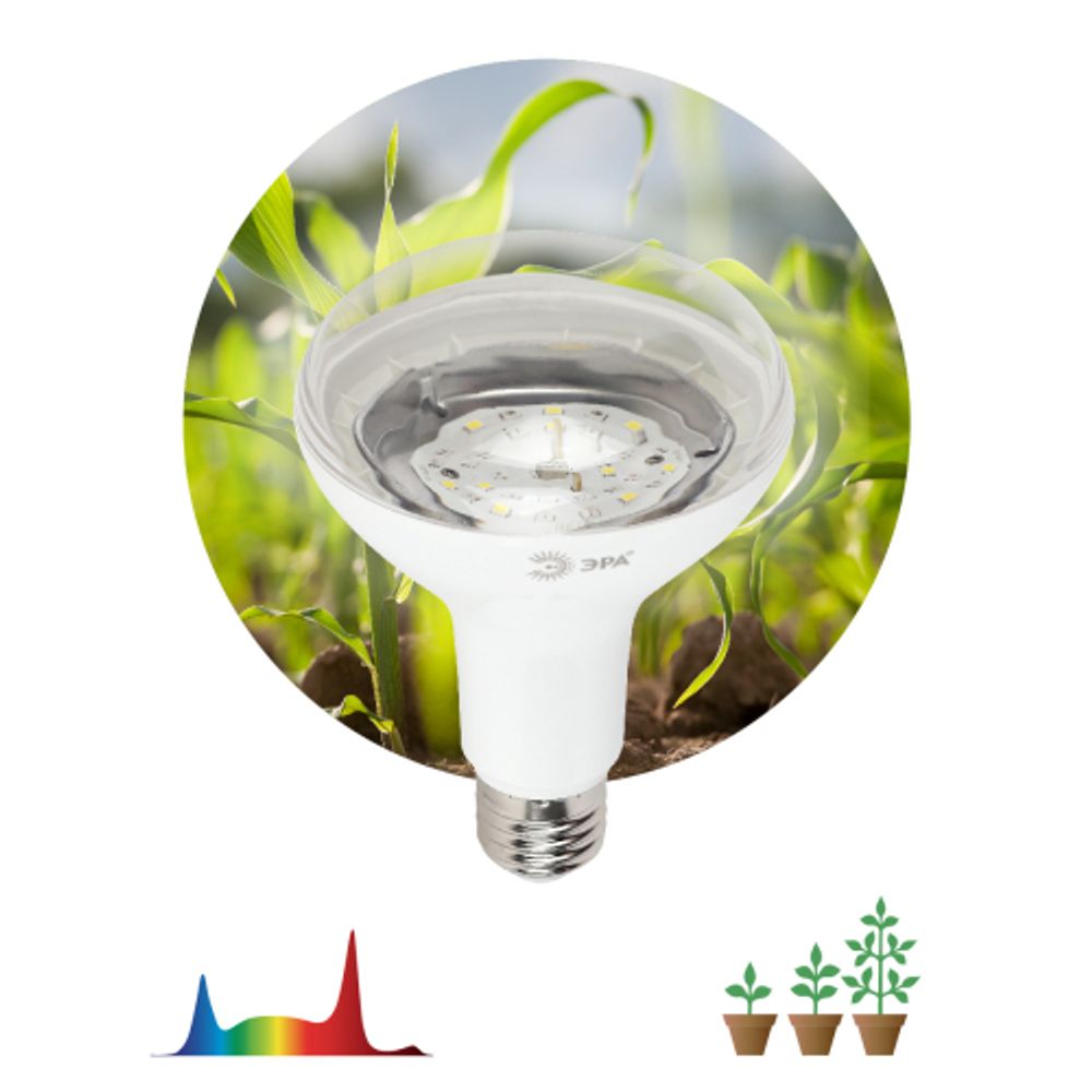 Фитолампа для растений светодиодная ЭРА FITO-15W-Ra90-E27 полного спектра 15 Вт Е27 | Фитолампы Е27