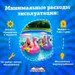 Семейная электрическая лодка-катамаран «Розовый лебедь», 1+1
