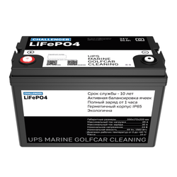 Аккумулятор Challenger LFP 24-65 (LiFePO4)