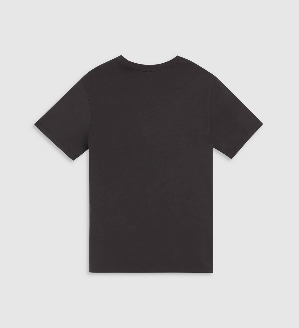 Футболка мужская LEVI'S GRAPHIC CREWNECK TEE