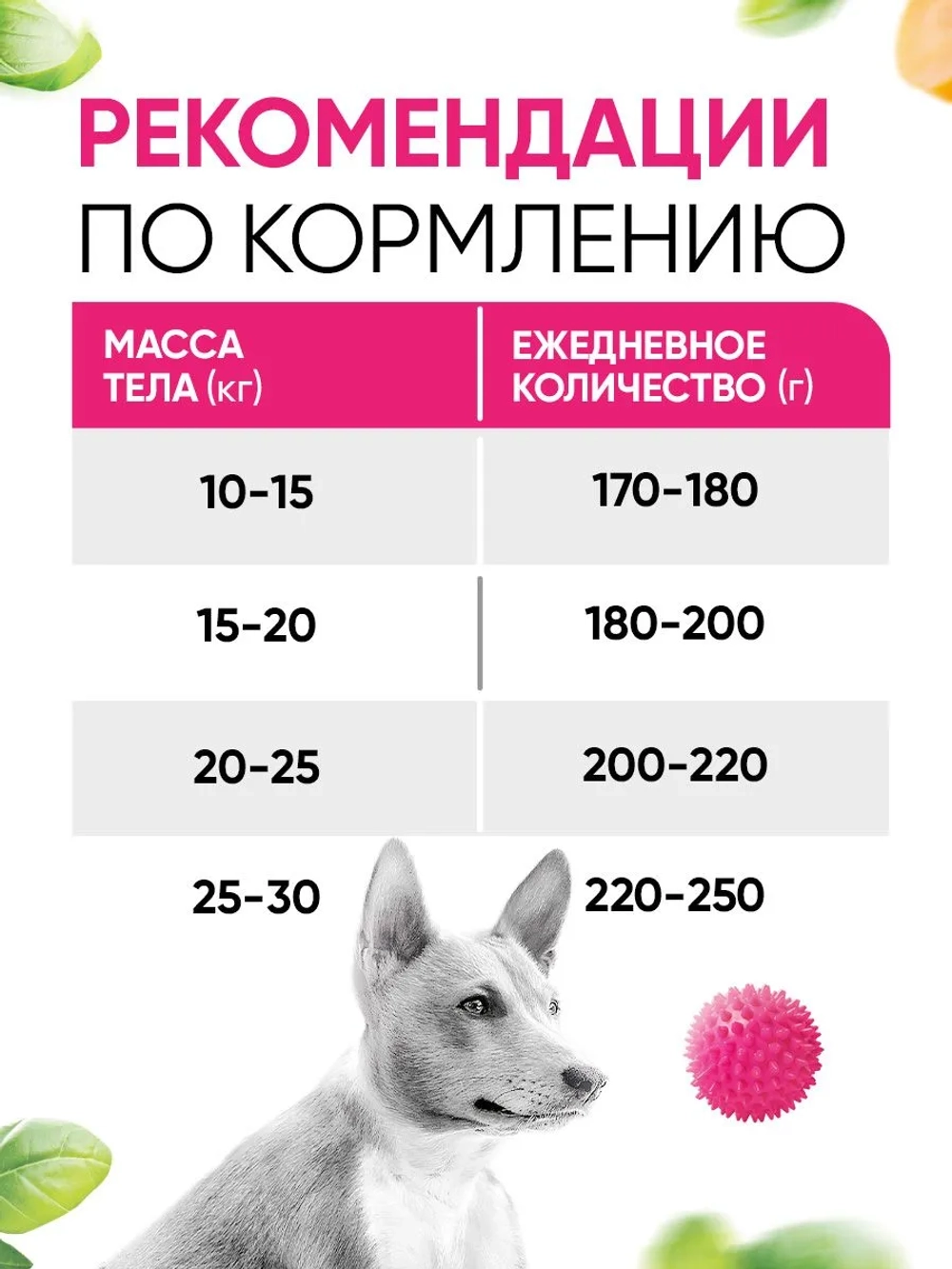 Delicana сухой полнорационный корм для взрослых собак средних пород, говядина с овощами, 18кг