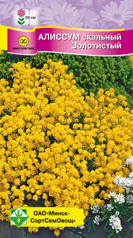 Алиссум "Золотистый" 0,15г., Германия.