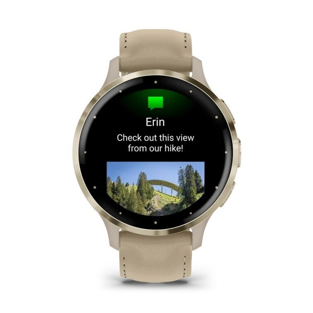 Умные часы Garmin Venu 3S цвета французский серый с кожаным ремешком с золотистым безелем