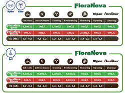 T.A. Flora Nova Max Bloom