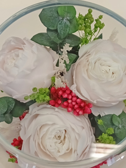 натуральные пионы в стекле, вакуум*
