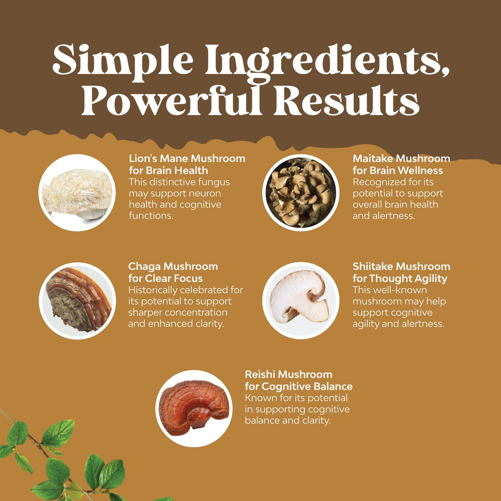 Nature's Craft, ежовик гребенчатый, комплекс, 60 капсул