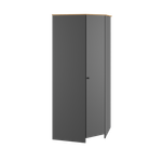 Шкаф угловой Теодора