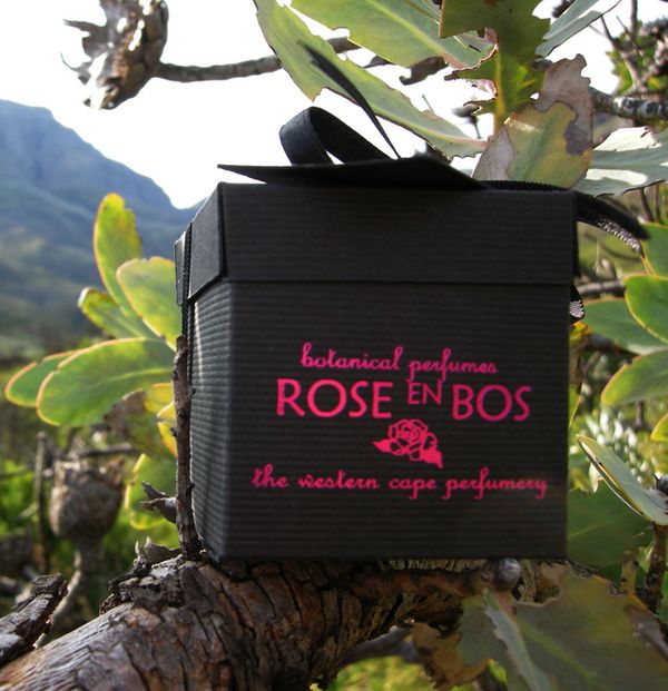 Rose en Bos Dark Heart