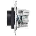 SKANDY Термостат электронный с индикацией SK-T01T титан IEK