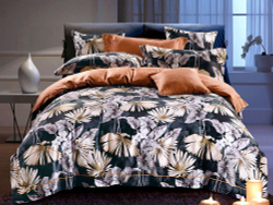 Постельное белье 1.5 спальное Asabella 1372-4S