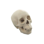 3D принтер EP-C3650