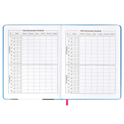 Дневник школьный арт. 59645 / 15 КОТ (кожзам:  А5+, твёрдый переплёт с поролоном, материал обложки: искусственная кожа "