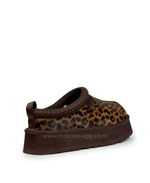 TAZZ - Caspian Burnt Cedar