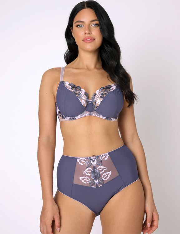Трусы Subtille Petra Violet слипы высокие (фиолетовый)